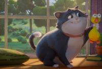 Knutselworkshop Cinema4Kids Buzzy de gelukskat 5+