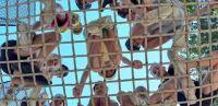 Zomersportkriebels W1||6-12 jaar|28/07 - 01/08